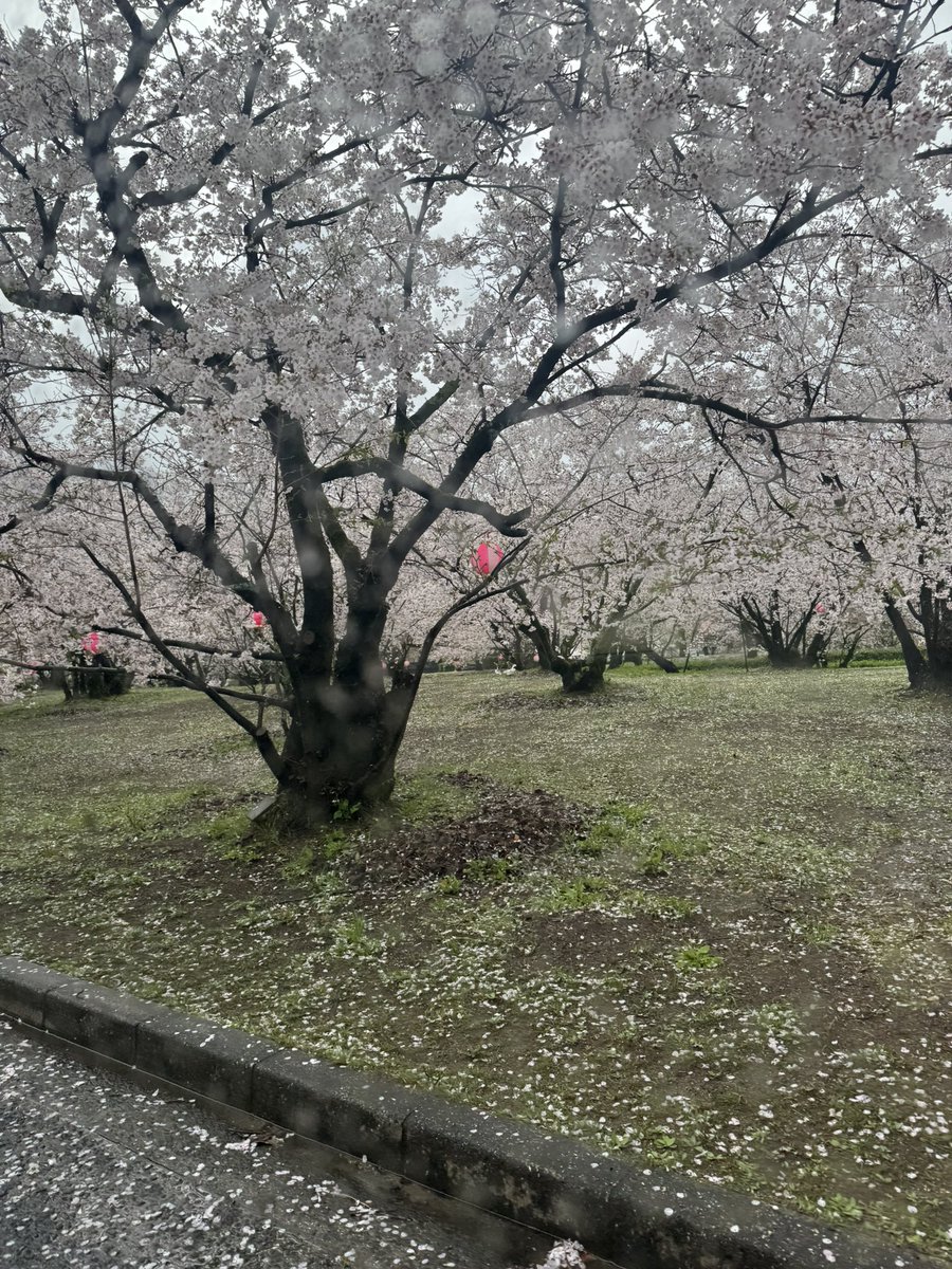 みそきち🍊 tweet media