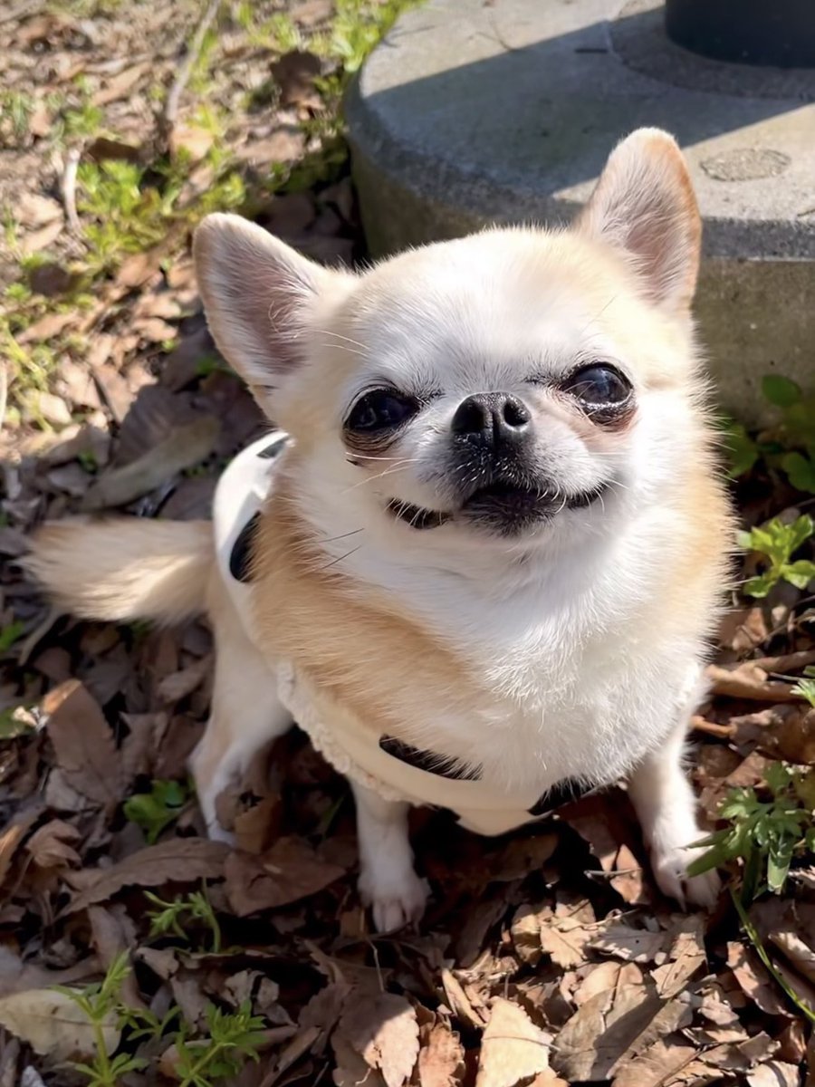 Gabe Bustos tweet media