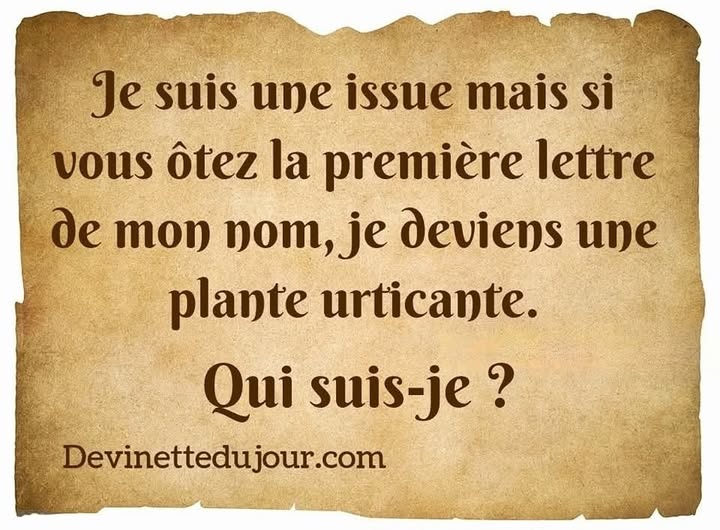 PlanPlan-Bilou tweet media