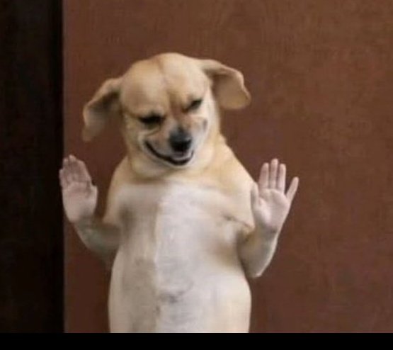 𝐈𝐫𝐢𝐬𝐡𝐦𝐚𝐧  tweet media