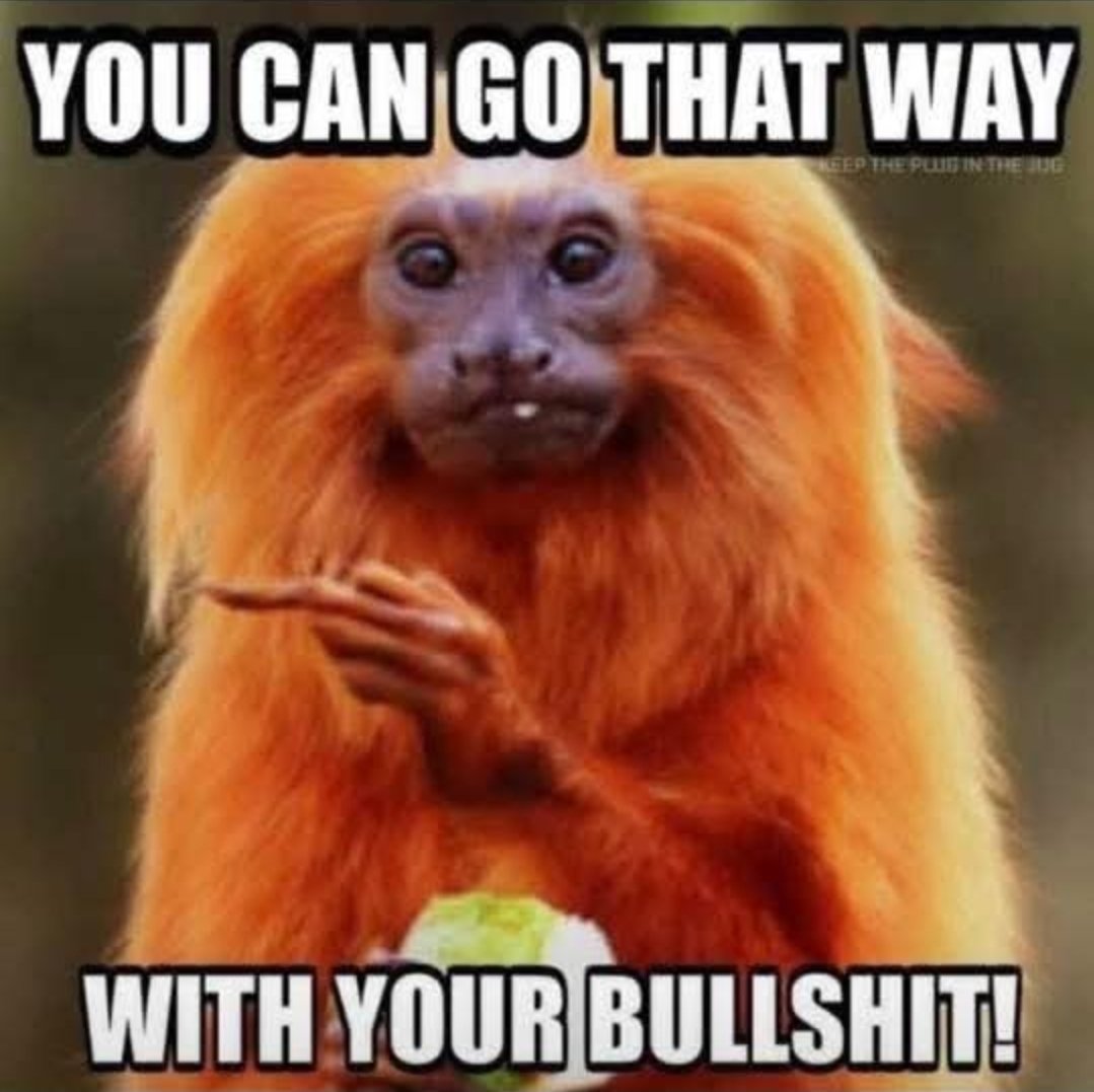 WittyMomster 🦋 tweet media