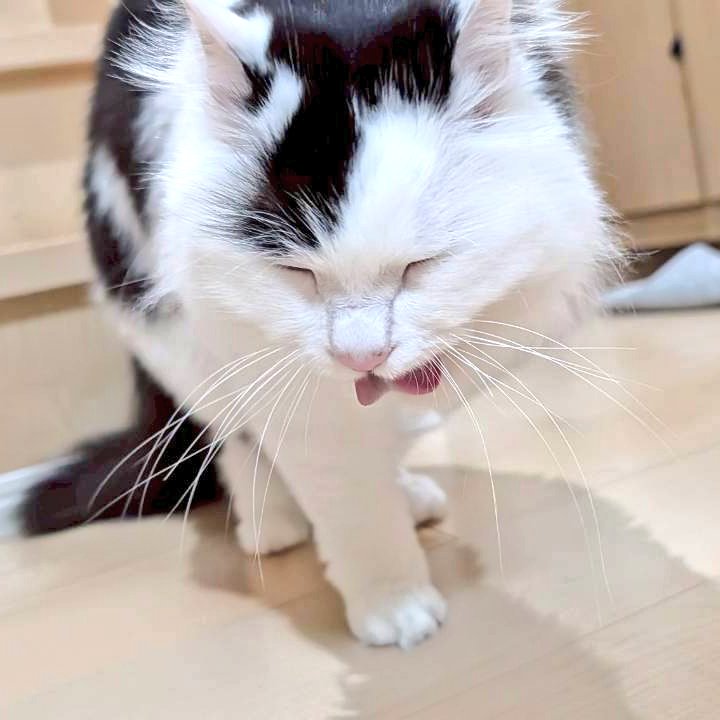 サフ✨にごり水🍊28🍊 tweet media