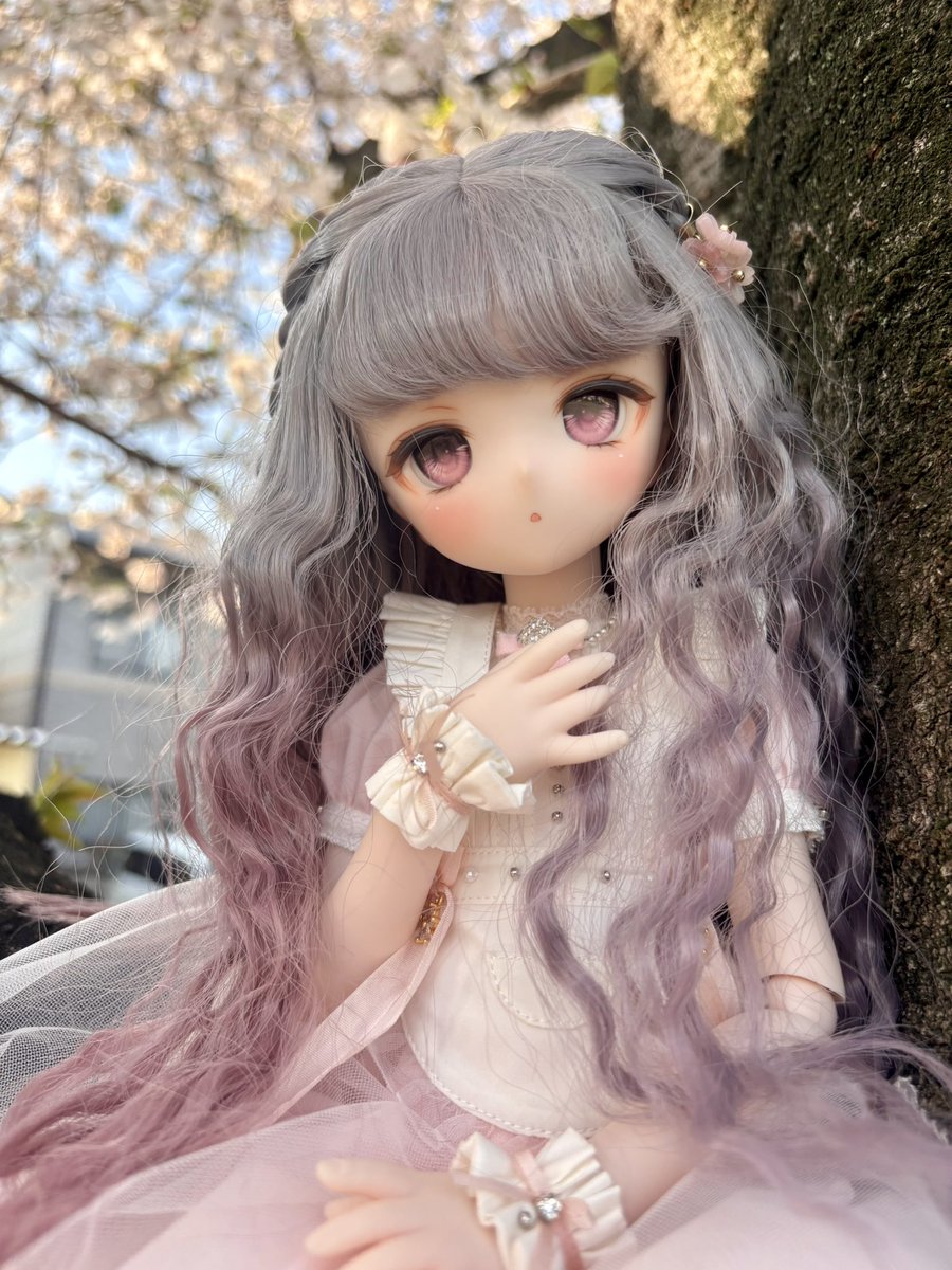 紫苑@ドール垢 tweet media