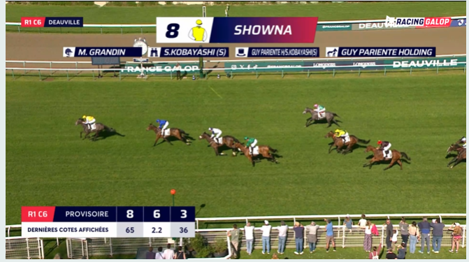 ashsh's tweet photo. Speechless.
64/1 boilover in the #Imprudence
SHOWNA whose best result was 8th in a Listed race wins quite easily!
My Highness 2nd for Fabre/Pouchin https://t.co/3AmKEn8hfQ