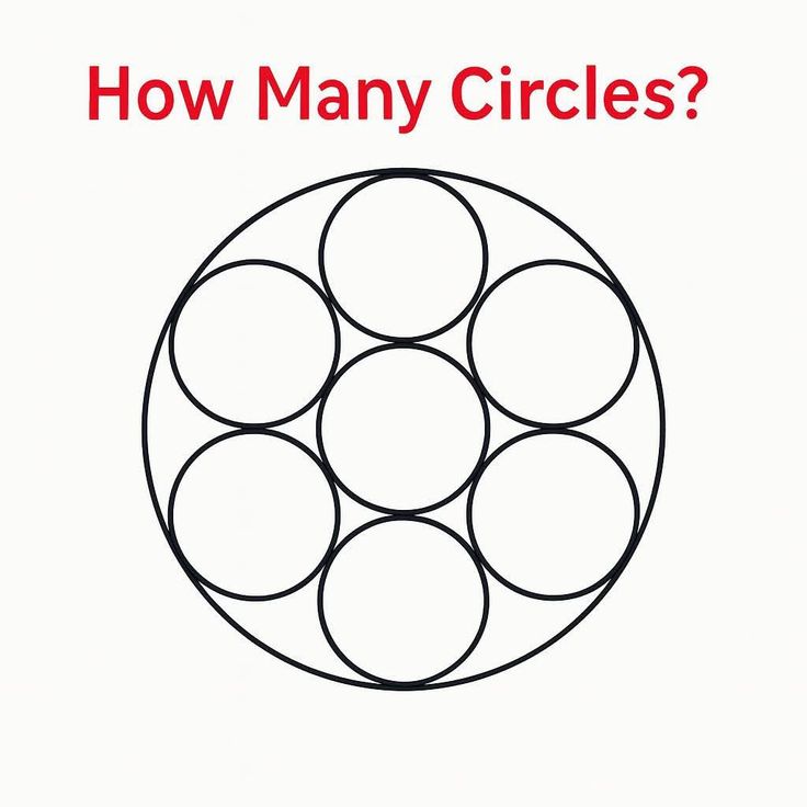 Sun Flower 🌺 tweet media