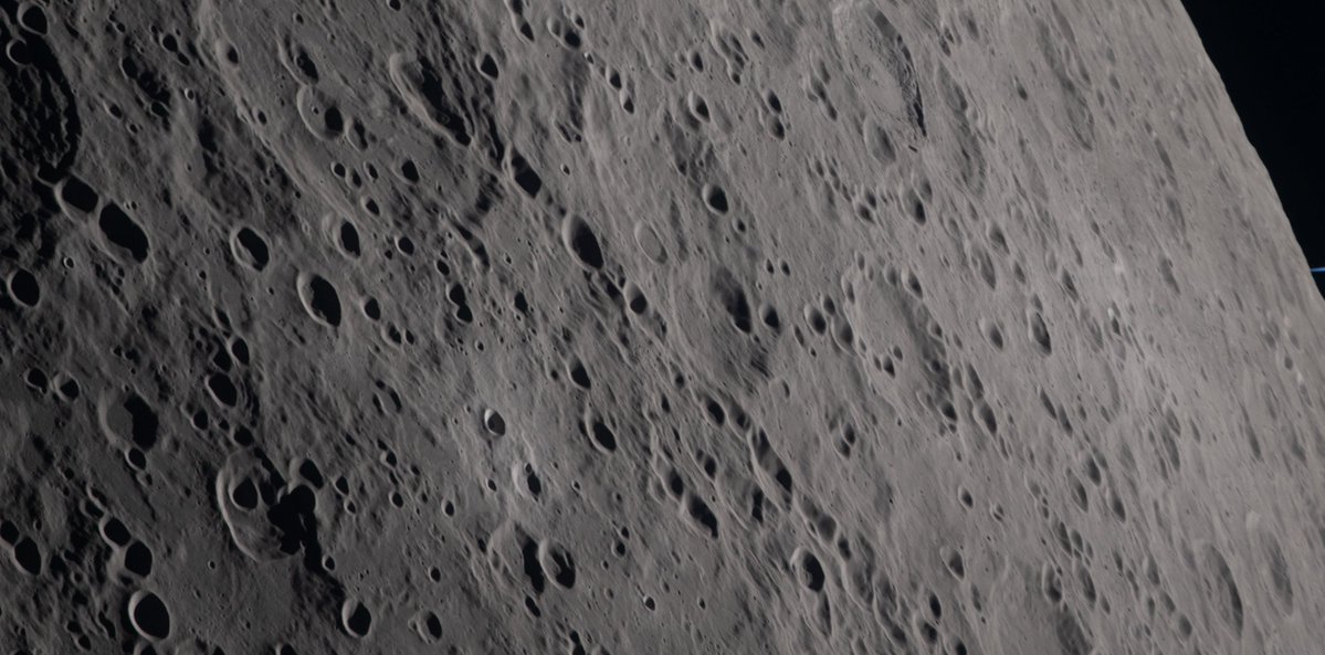 MeWhenSkull tweet media