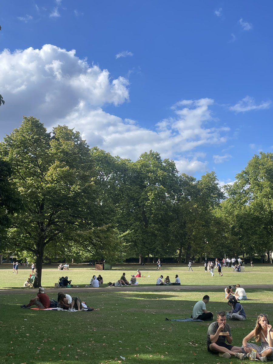 🌰💢 tweet media