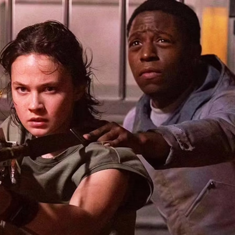 Chaya aka Cooper Hoffman’s Beard tweet media