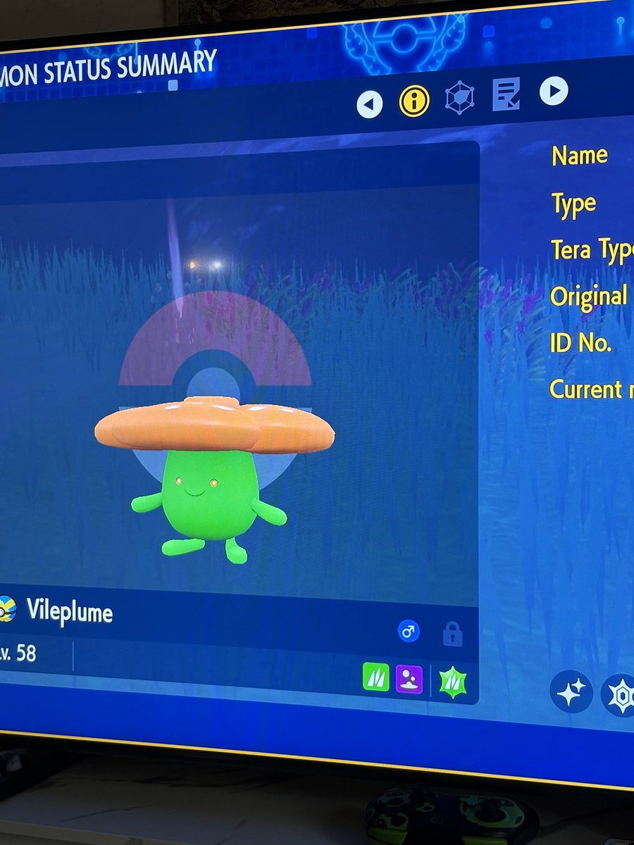 thomas ⚡️ tweet media