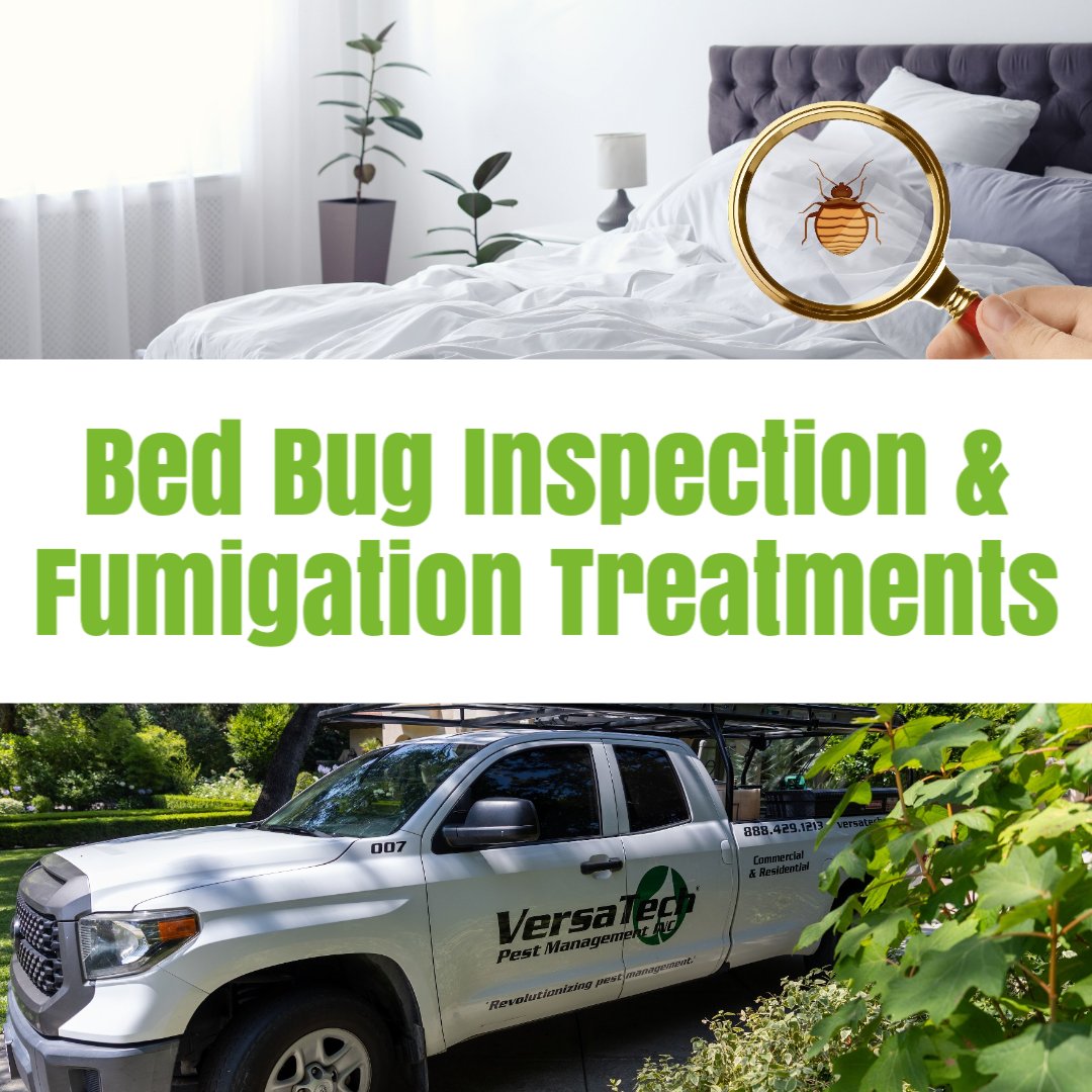 Versa-Tech Pest Management, Inc.® tweet media