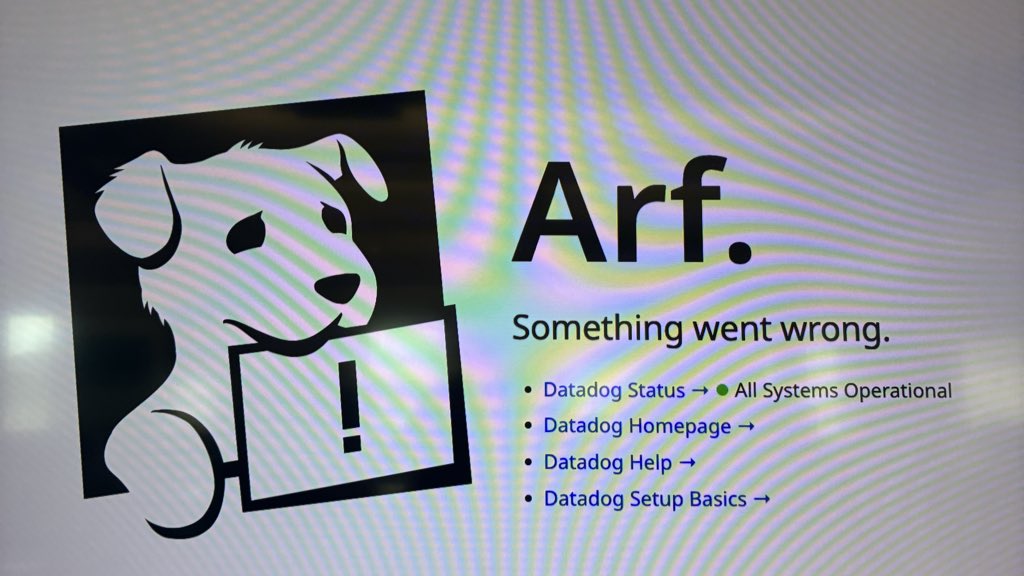 Evan Chipps tweet media