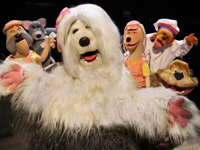 Colpo Lukão tweet media