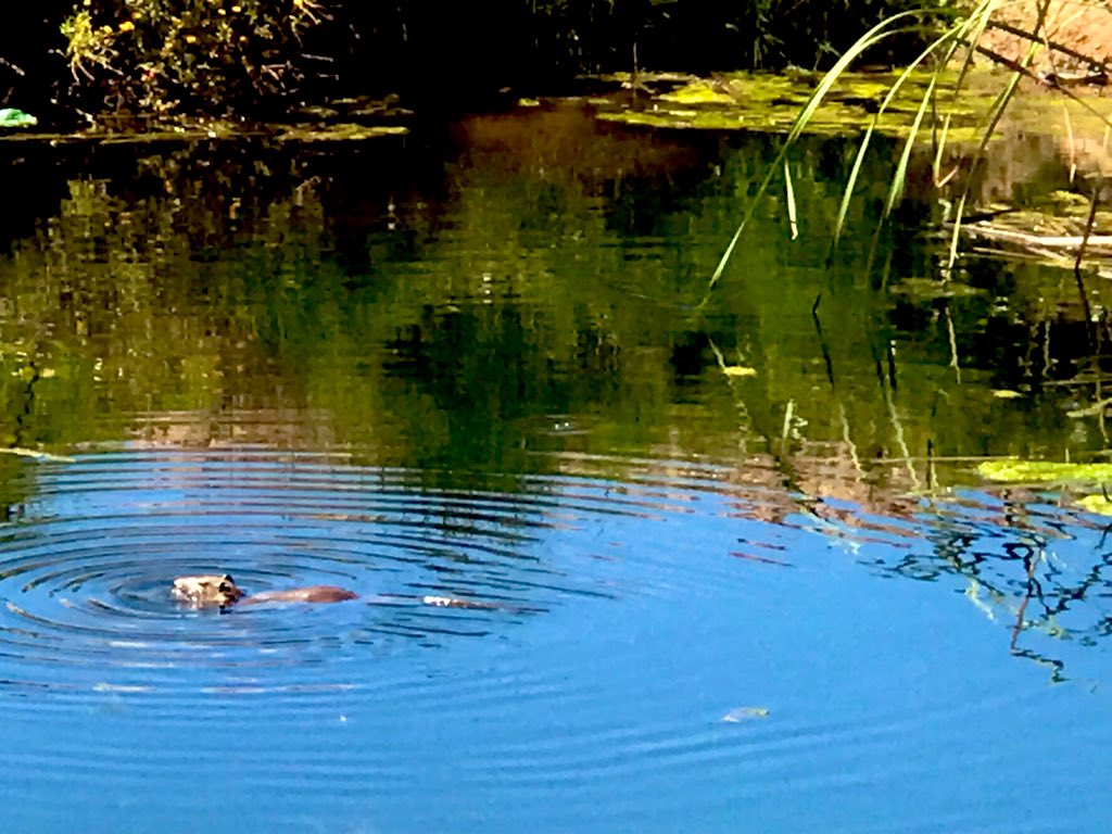River108's tweet photo. @WOLF_TradingX https://t.co/Dlazr2qewI