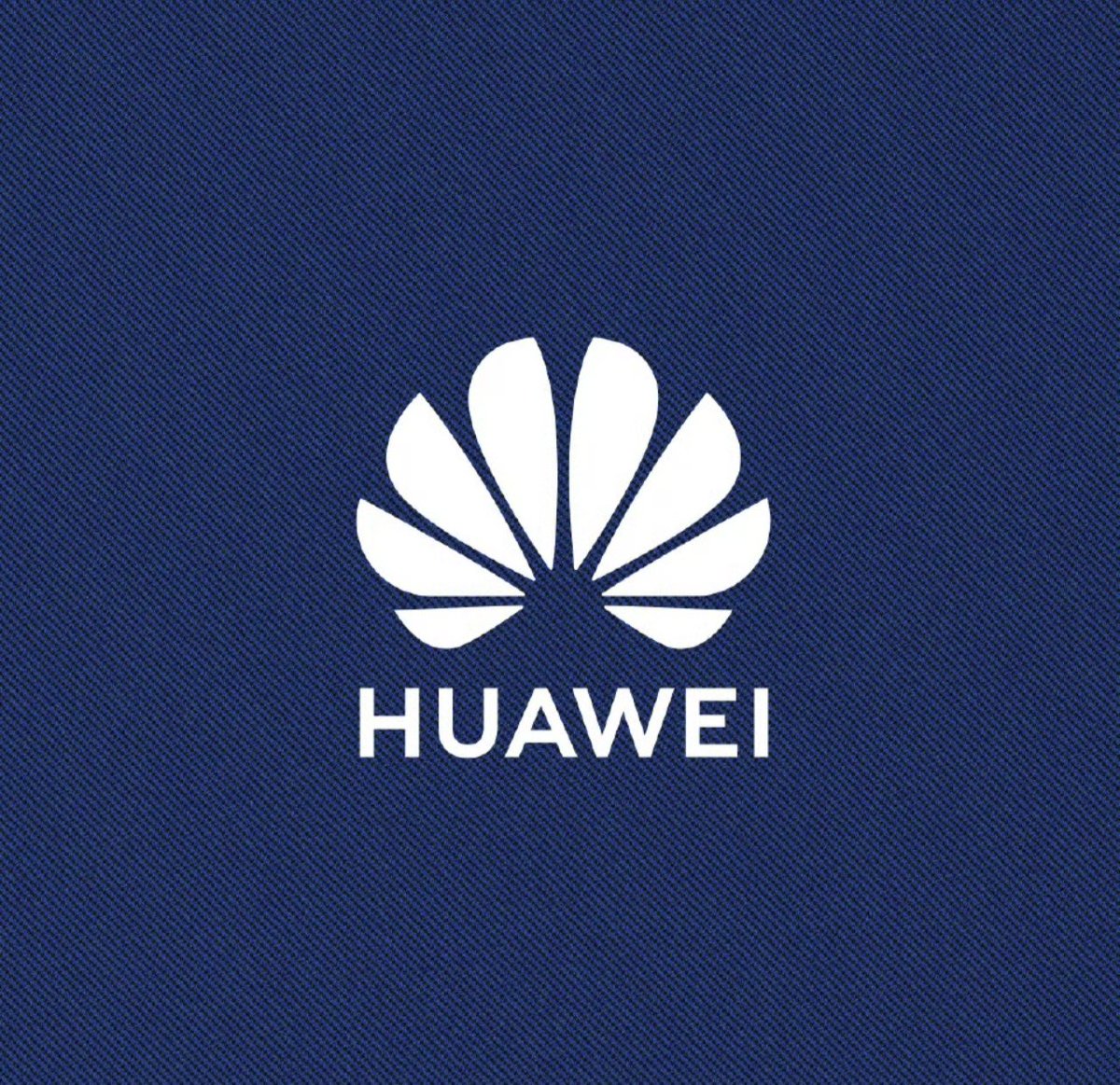 MyplaceMyworld tweet media