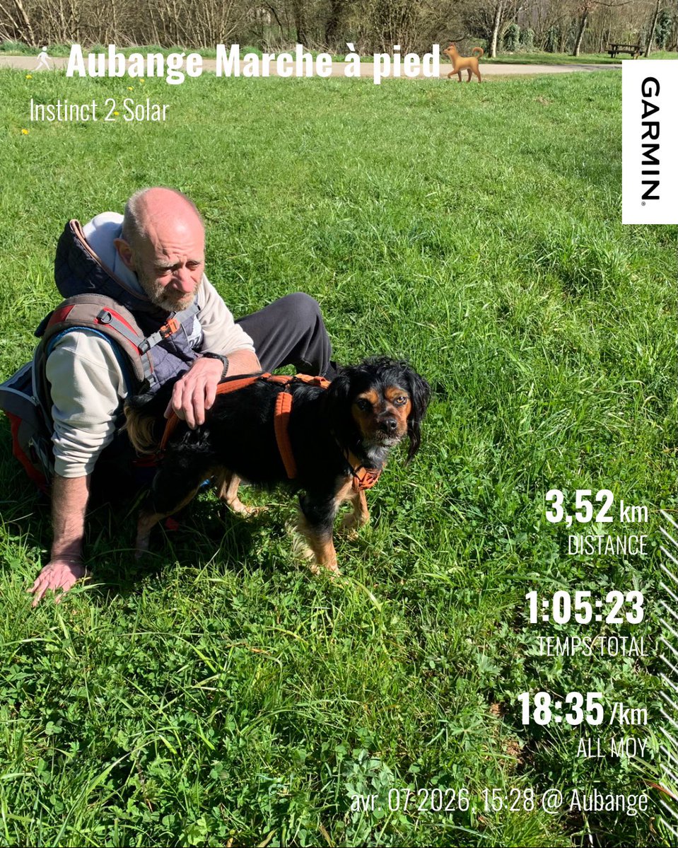 Didier FLECHE 🇧🇪🏊‍♂️🚴‍♂️🏃🏻‍♂️ (@flechedidier) on Twitter photo 