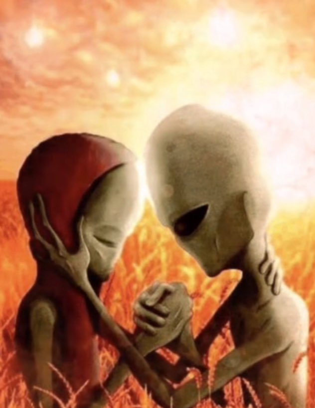 راء🪄 tweet media