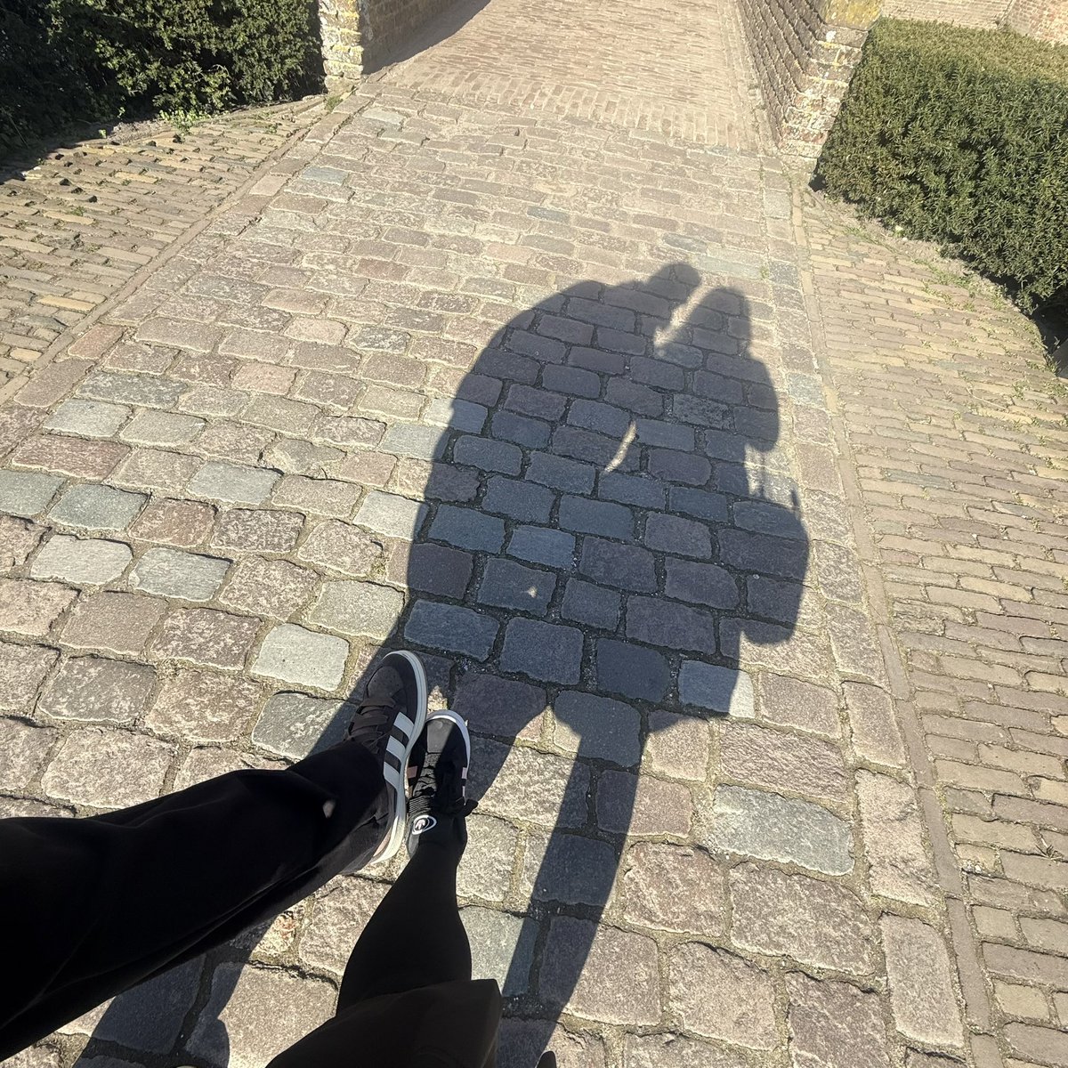 Margarida Guimaraes tweet media