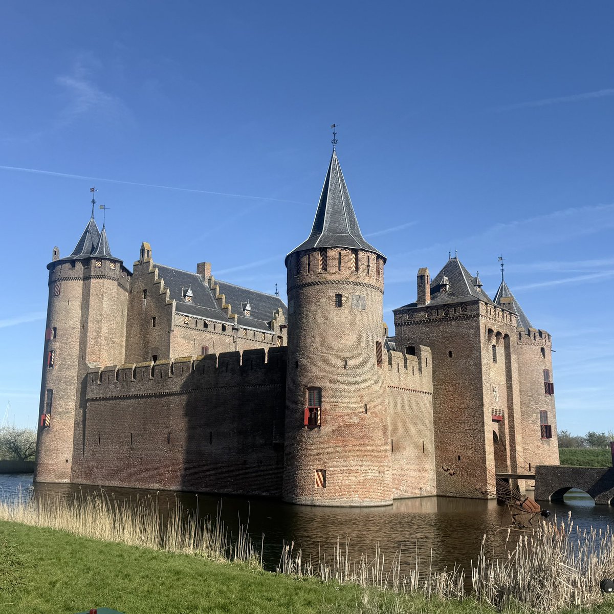 Margarida Guimaraes tweet media