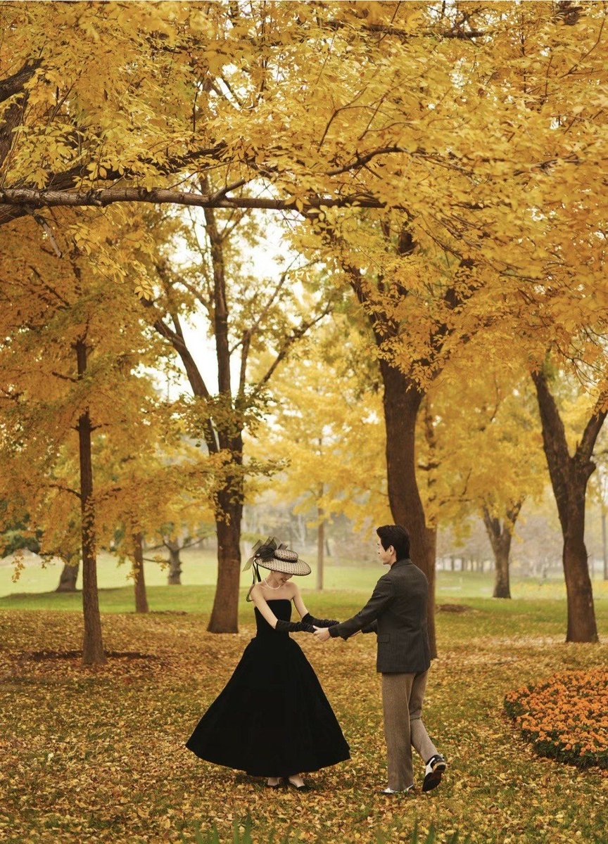 amanda owens tweet media