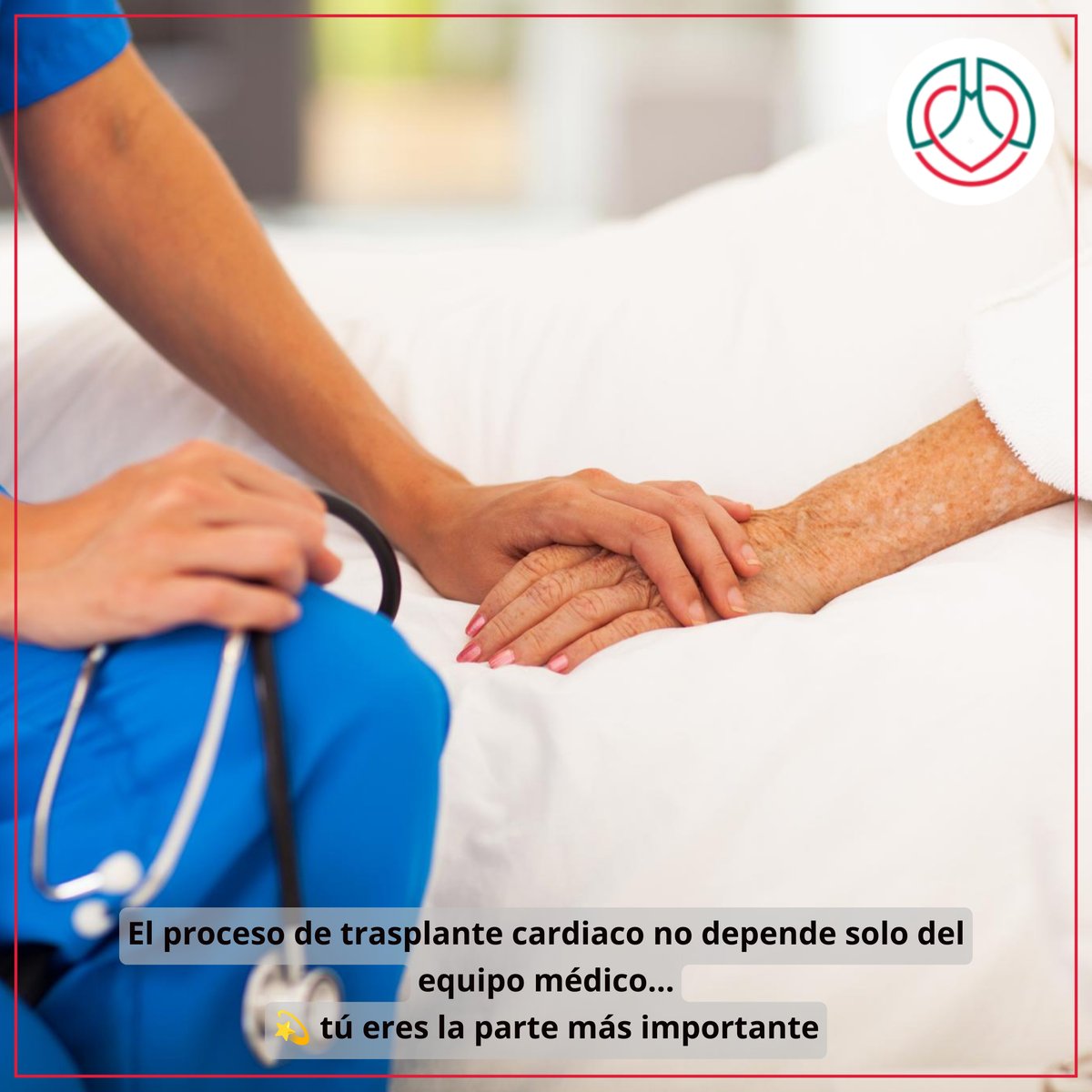 AVATCOR's tweet photo. ❤️🫀Tú eres clave

💫Infórmate
💊Implicate
🤝Colabora
El paciente activo mejora resultados. Tu compromiso marca la diferencia en el trasplante.

#AVATCOR. Unidos por el corazón. Y por los pulmones.
📞+34 963 29 09 79
🌐https://t.co/xclAn54o5b

#TrasplanteCorazón #TrasplantePulmón https://t.co/dnYYQDta6d