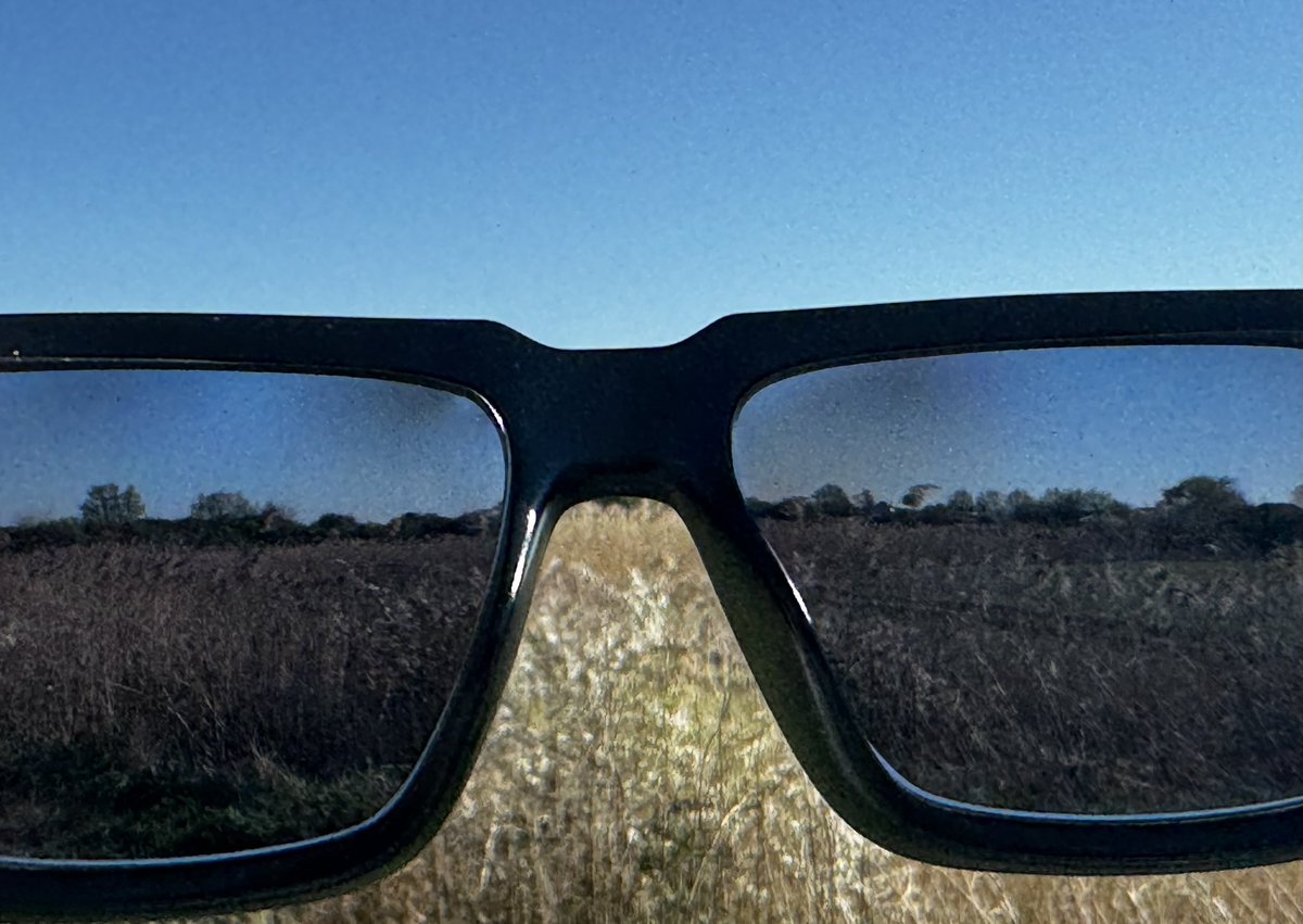 DOMINIC KING tweet media