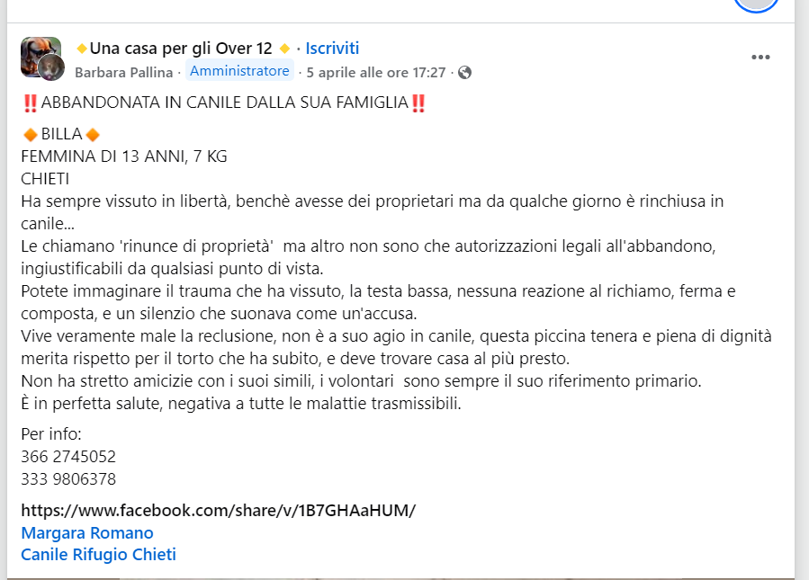 Qua la Zampa tweet media