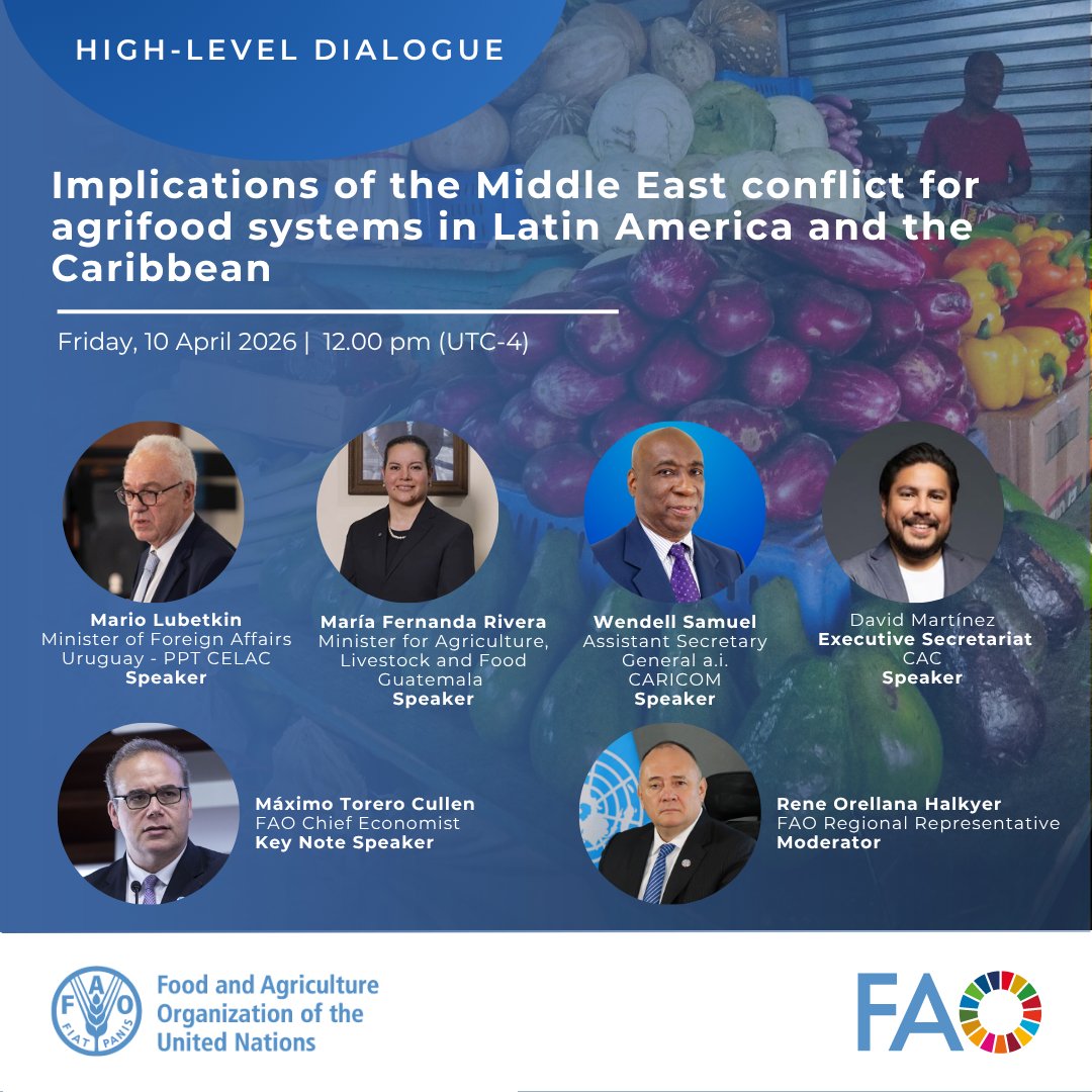 FAO in the Caribbean tweet media