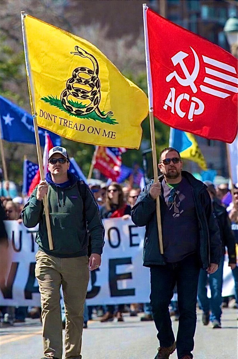 Rainer Shea ☭ tweet media