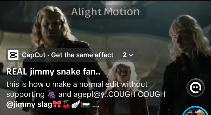 ☆Jimmy Dog☆ tweet media