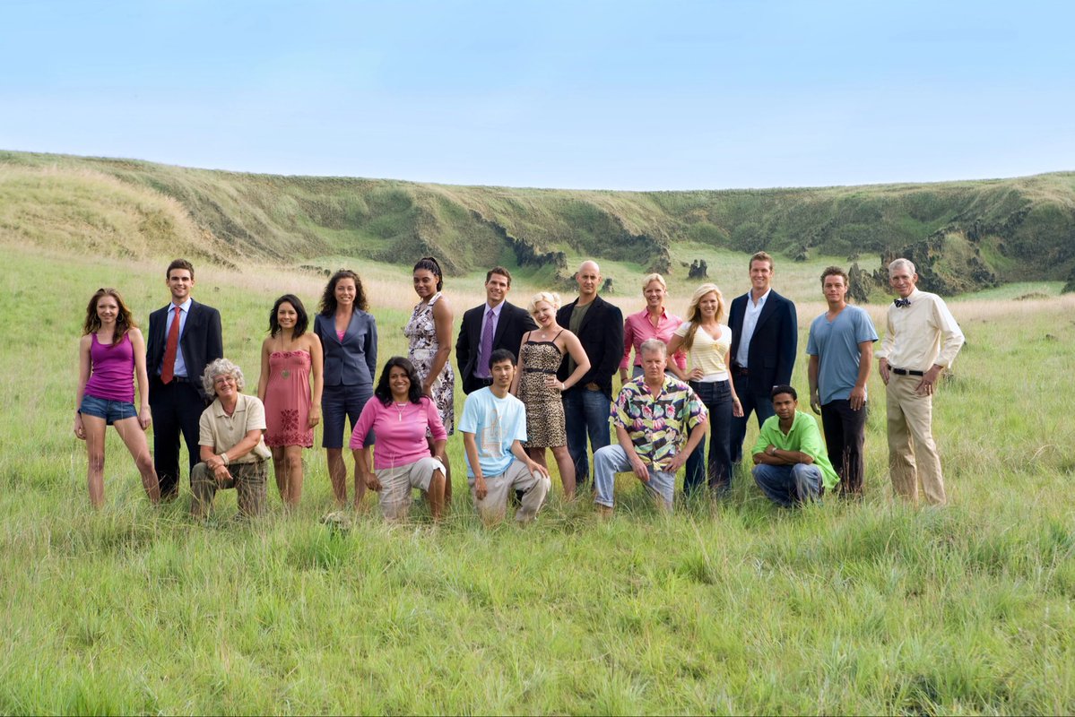 Turtle Survivor tweet media