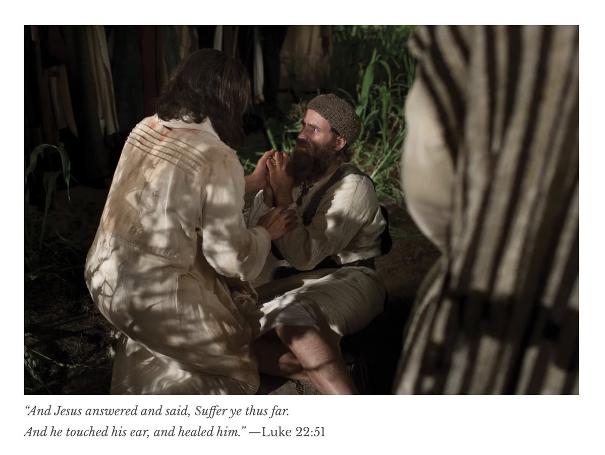 Carrie McIntyre | The Relevant Questions tweet media