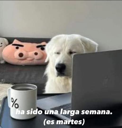 Nasty Poet tweet media