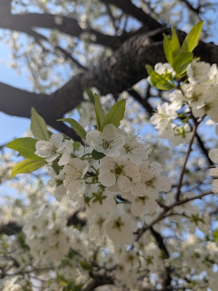 ヨッシー tweet media