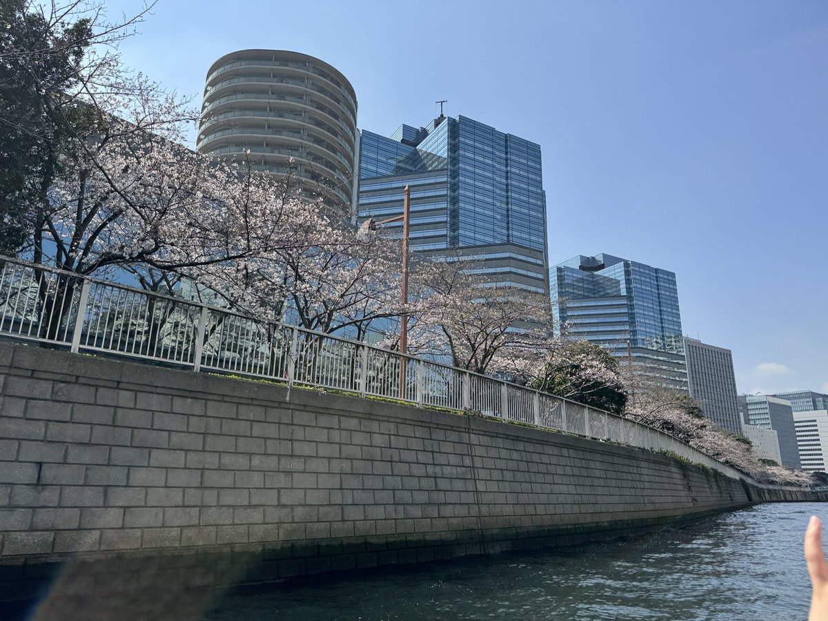 川上 将大 tweet media