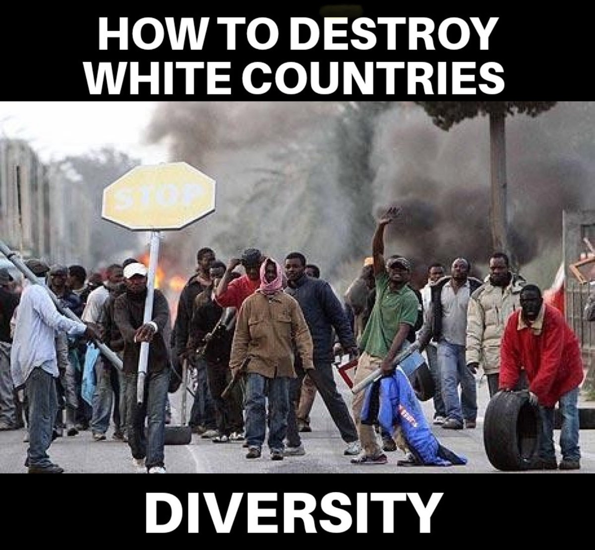 Tina B 🇺🇸 tweet media