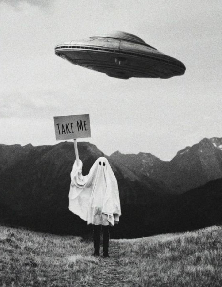 Elle Lookbook tweet media