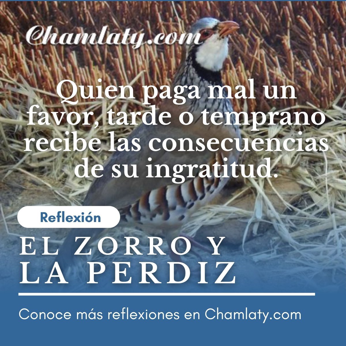 Es una #historia sencilla pero poderosa sobre la #gratitud y las consecuencias de actuar con mala intención. Vale la pena leerla y #reflexionar sobre cómo tratamos a quienes nos ayudan. ✨
chamlaty.com/2021/09/11/el-…

#actualizandome #BARRAACTUALIZANDOME