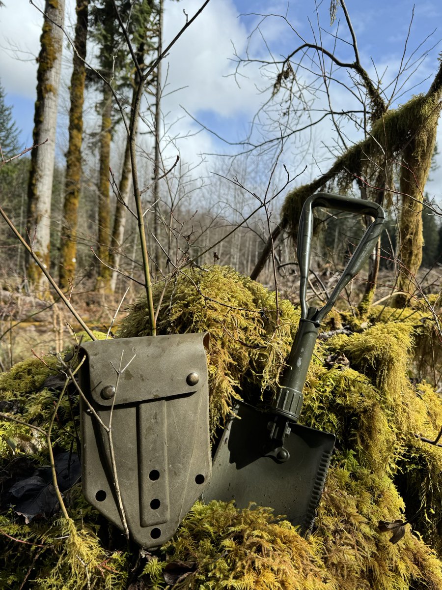 PNWGUERRILLA tweet media