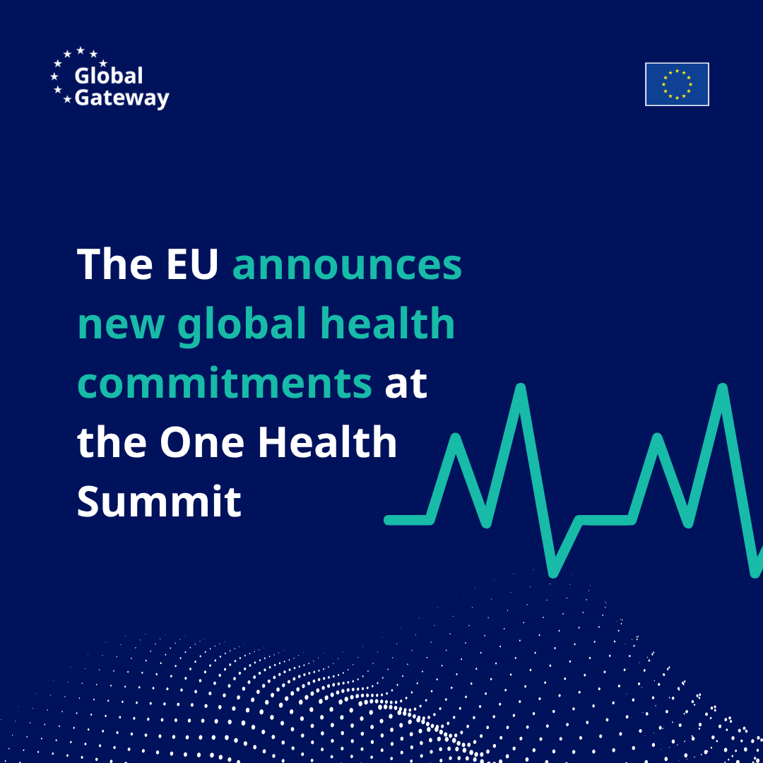 EU International Partnerships 🇪🇺 tweet media