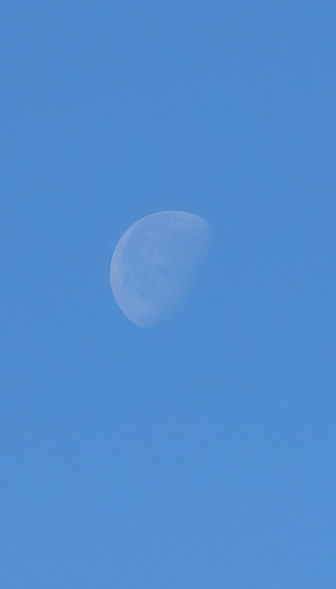 Linguini :3 ✨ tweet media