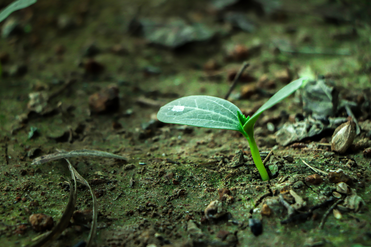 lars jensen tweet media