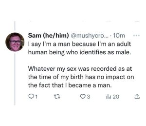 She said it tweet media