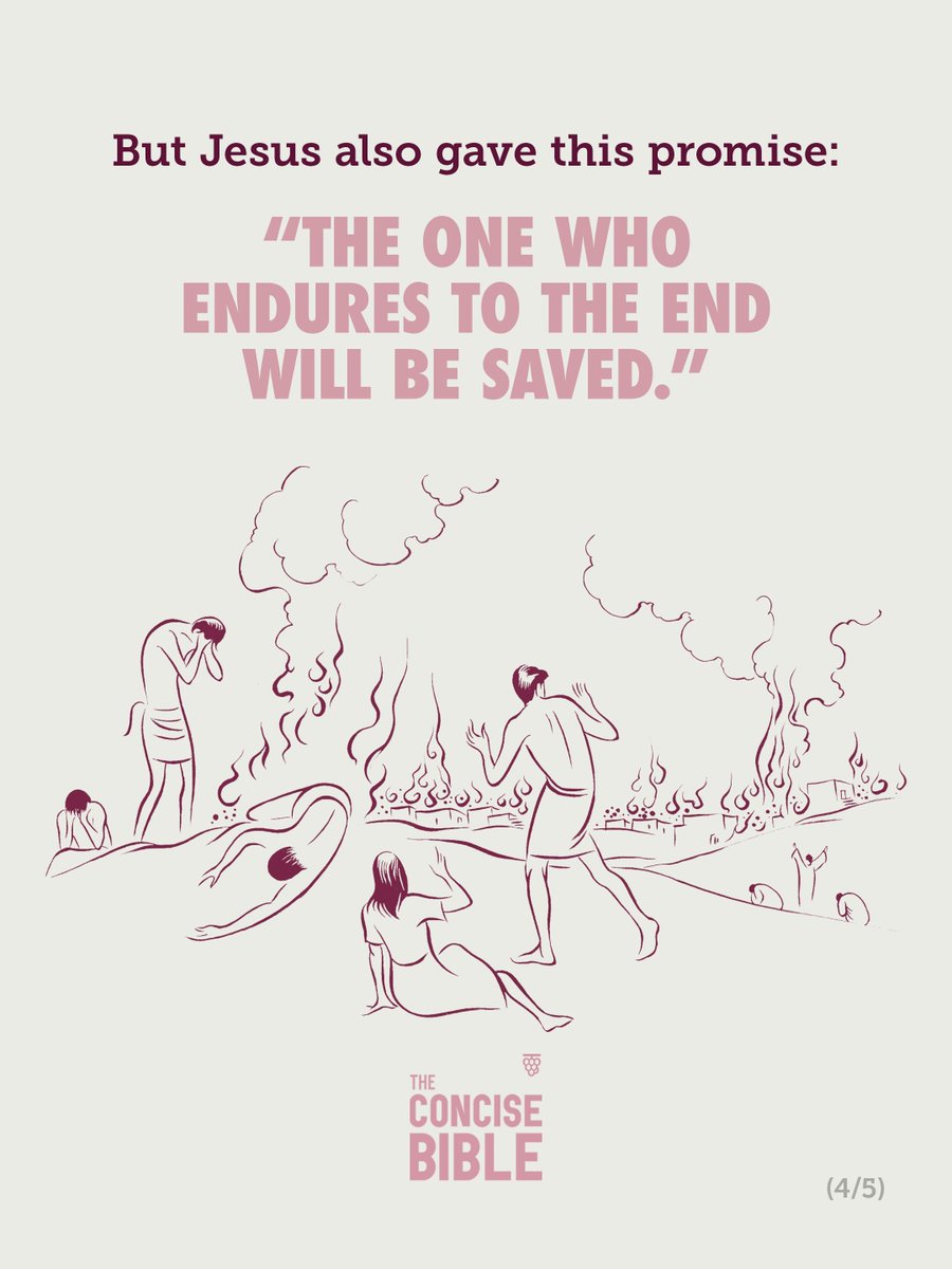 concisebible_en's tweet photo. Read Chapter 7, Section 14: “Signs of the End of the World” to discover what Jesus said about the end of the world.
https://t.co/Lm4UHaHC7d

#concisebible #holybible #readoftheweek #endoftheworld https://t.co/6zuHdPgTku