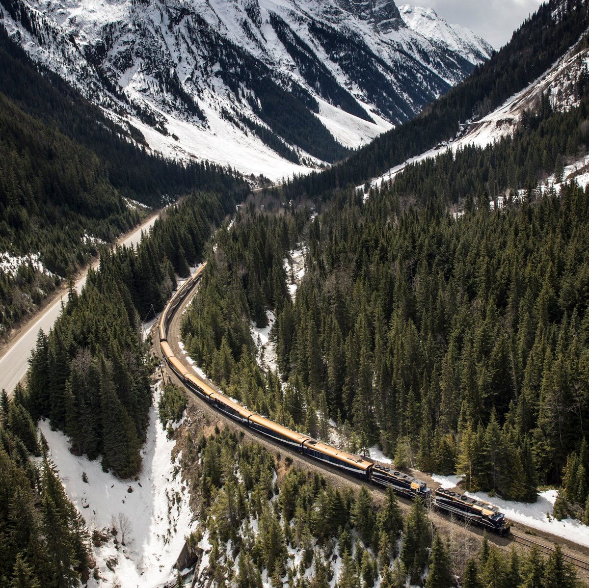 ExquisiteTG's tweet photo. Make the most of your 2026 journey through the Canadian Rockies on Rocky Mountaineer! Traveling during the first months of the season (April and May), you’ll still witness snow-dusted mountains, but as the snow cap melts, you’ll also see rushing waterfalls, the first wildflowers https://t.co/mnP6ArQihT