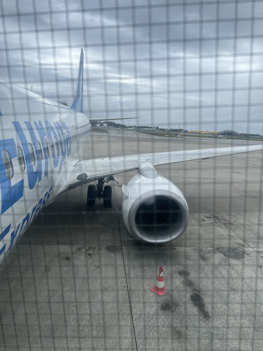 Pedro P. tweet media