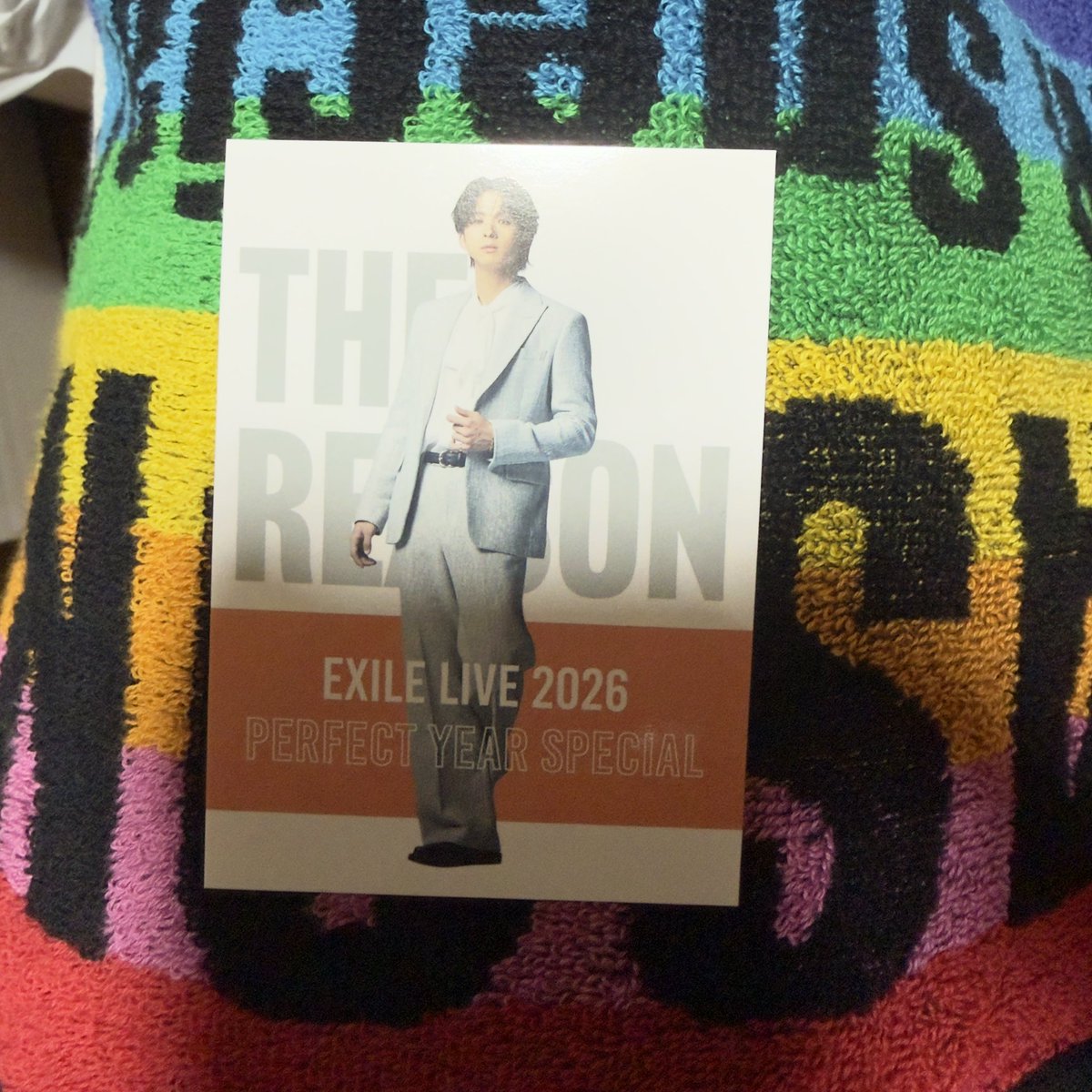 🐕🐵 tweet media