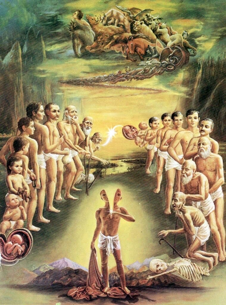 Luiz Augusto tweet media