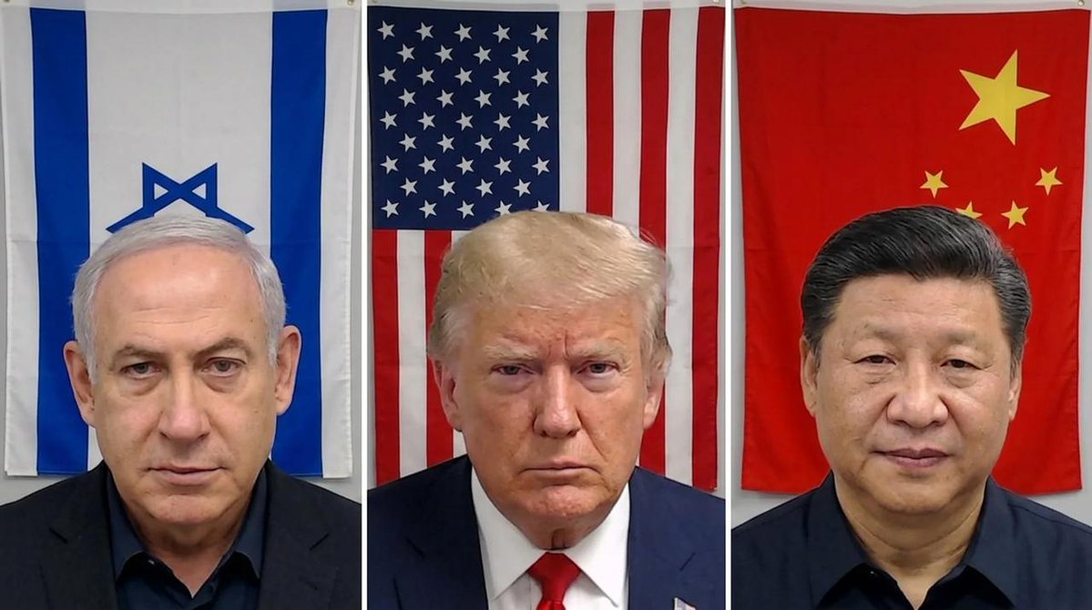 Hamed Ezzeldin tweet media