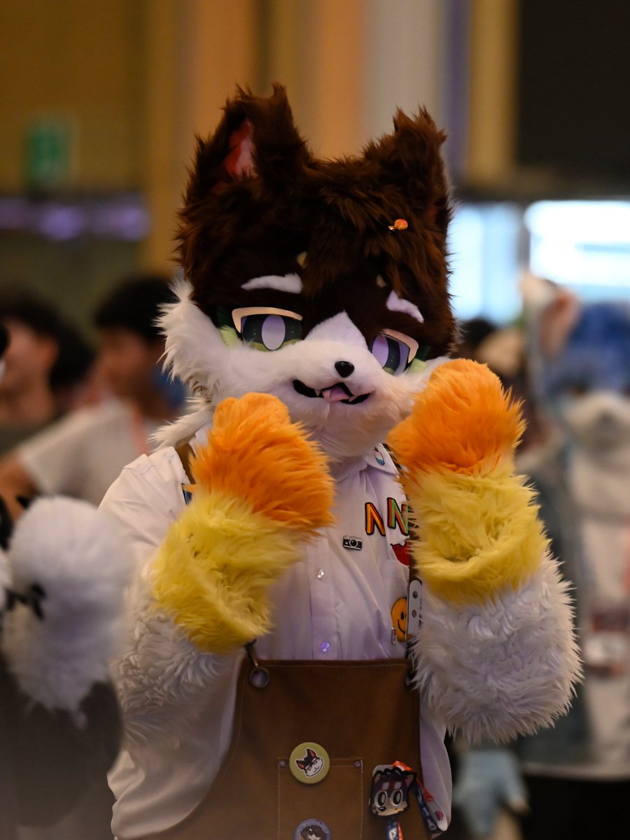 리무리(リムリ)➡️furstclass tweet media