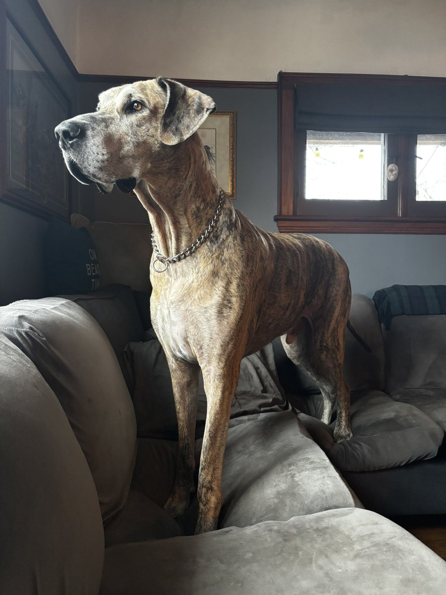 HeyNurseKat’s Science Support Group tweet media